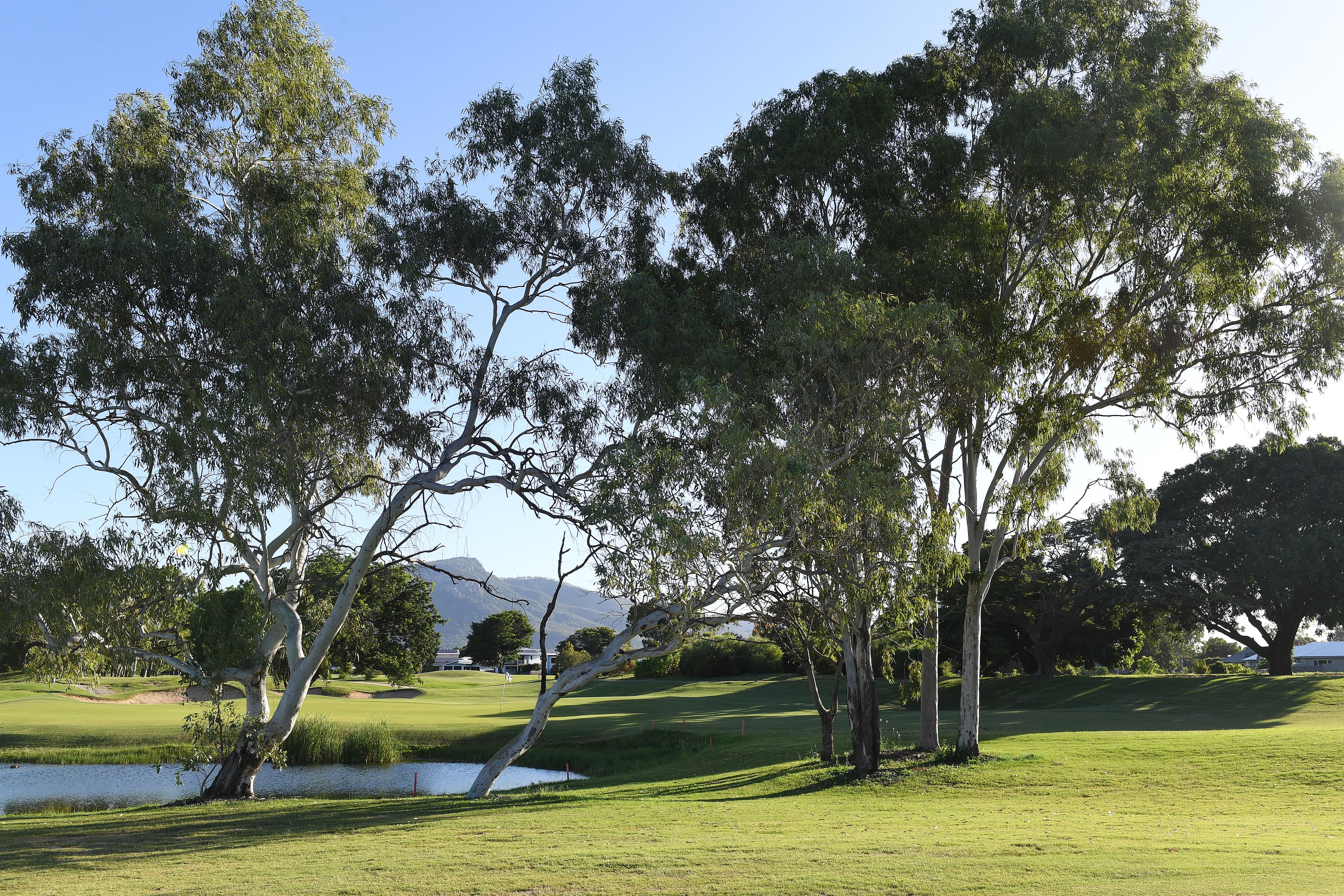 Green through the trees at Townsville Golf Club