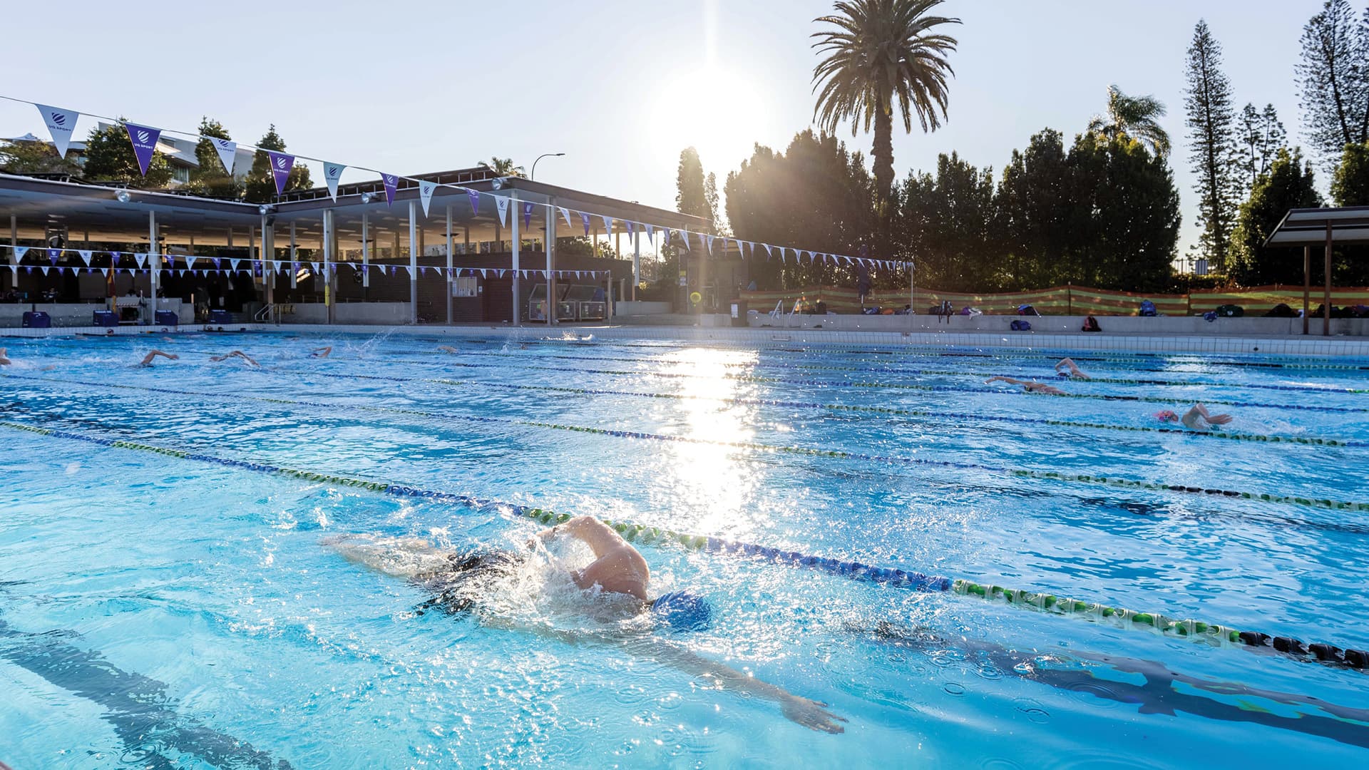 A swimmer doing laps in the swimming pool at the University of Queensland. 